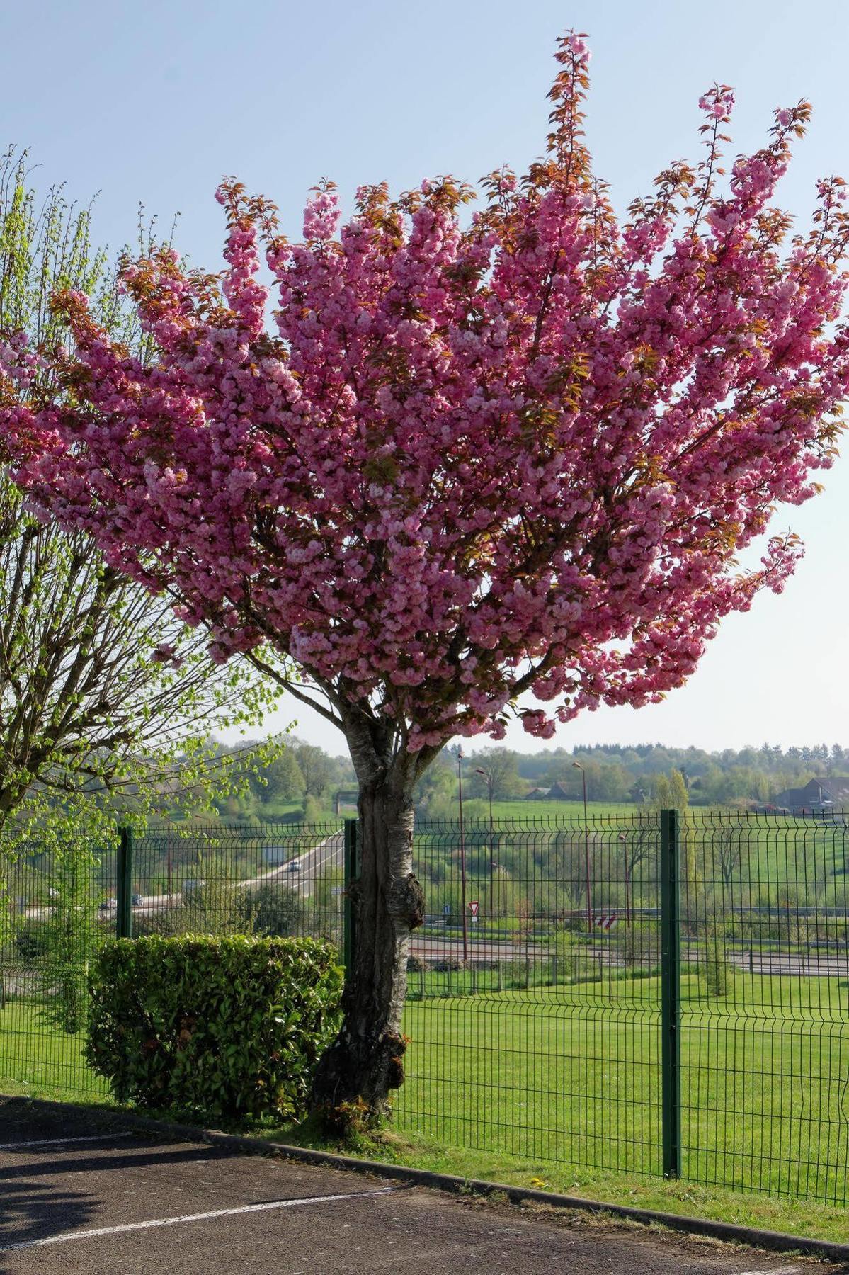Fasthotel Le Mans Nord Fh Confort Saint-Saturnin  Kültér fotó